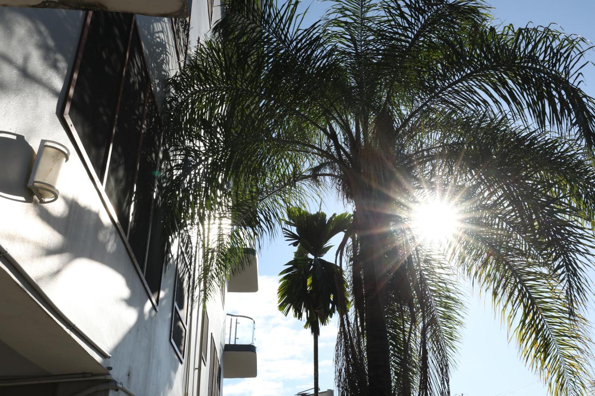 Tropical Plaza Apt Nadi Exteriér fotografie